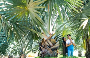 Shammi Sayyed Photography