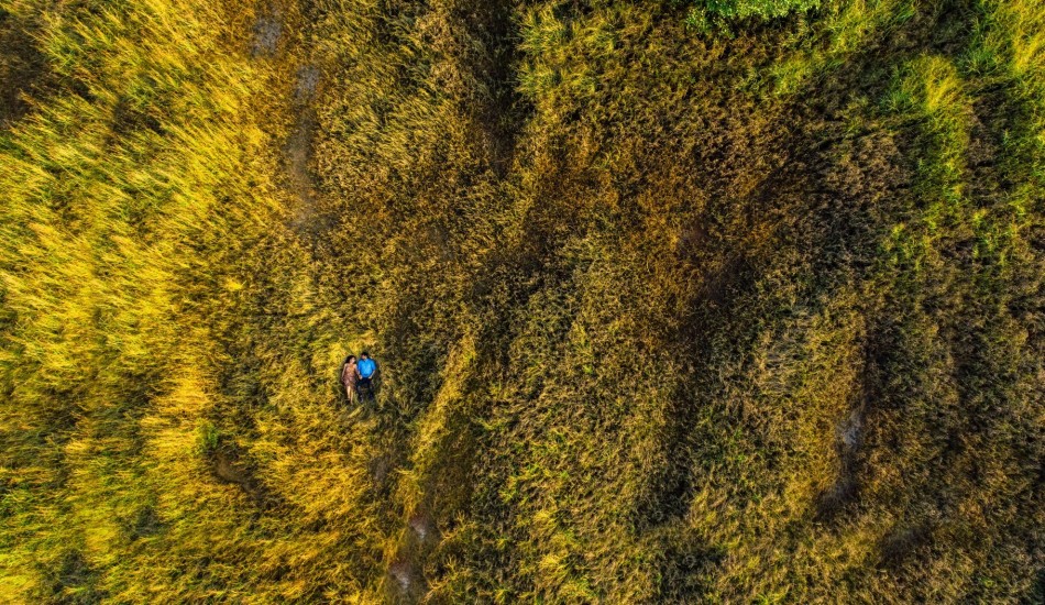 Rahul de Cunha Pictures